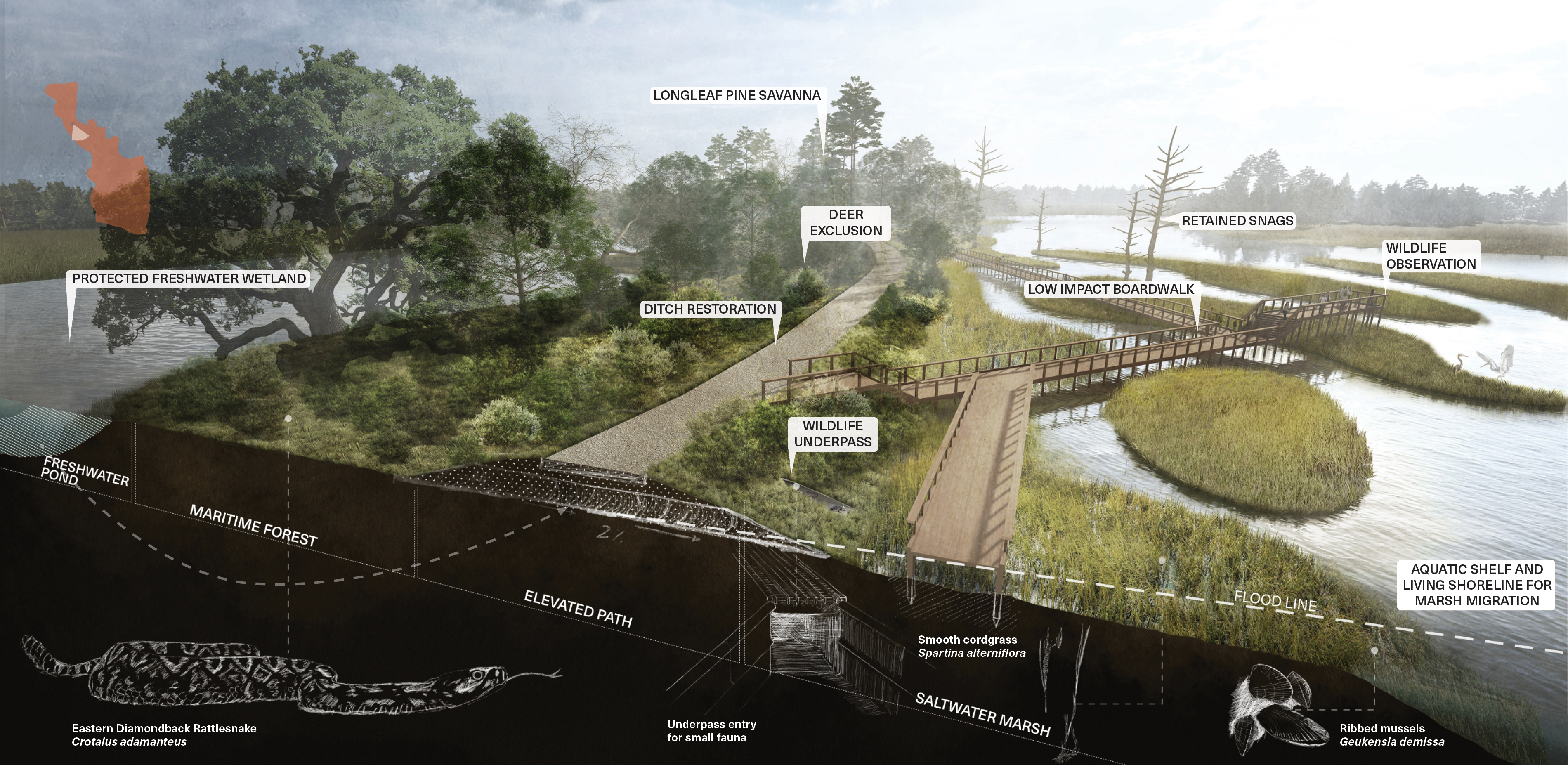 The plan blends environmental stewardship with recreational opportunites.