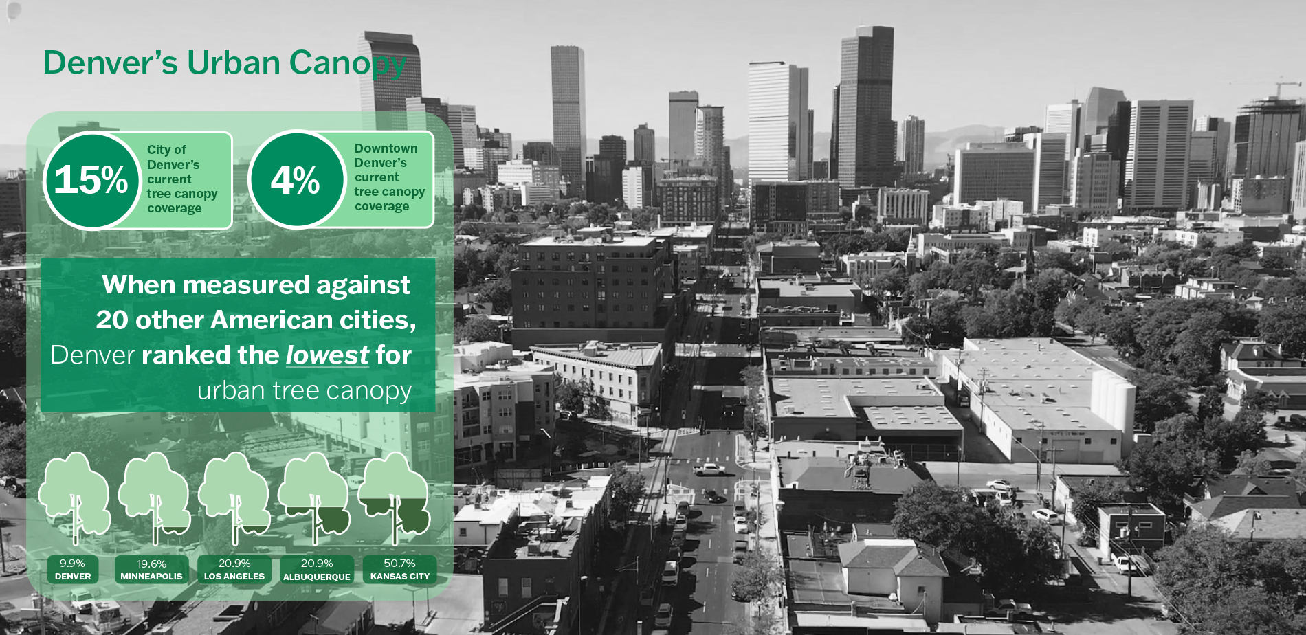 Denver’s urban forest was significantly lagging behind comparable cities, sparking the need to develop Denver’s first Urban Forestry Strategic Plan.