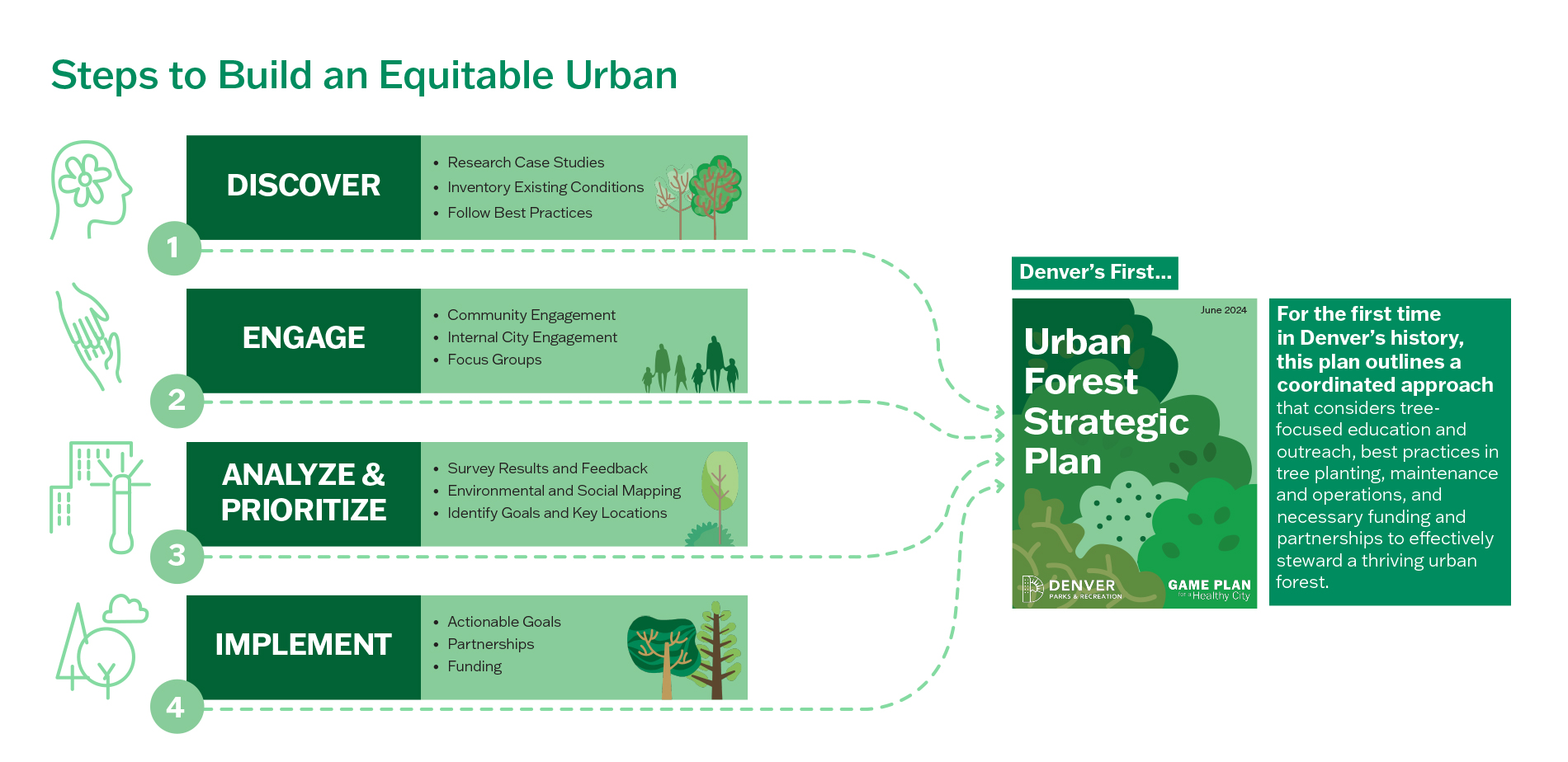 While equity and resilience factors are key baselines for the Strategic Plan, an understanding of the makeup of the urban forest was also critical.