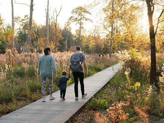 Houston Arboretum and Nature Center